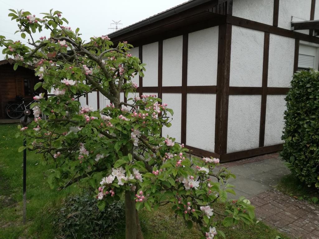 Ferienhaus Apfelbluete Twielenfleth Bagian luar foto